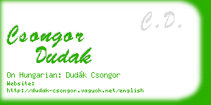 csongor dudak business card